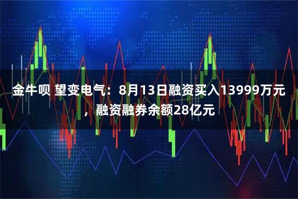 金牛呗 望变电气：8月13日融资买入13999万元，融资融券余额28亿元