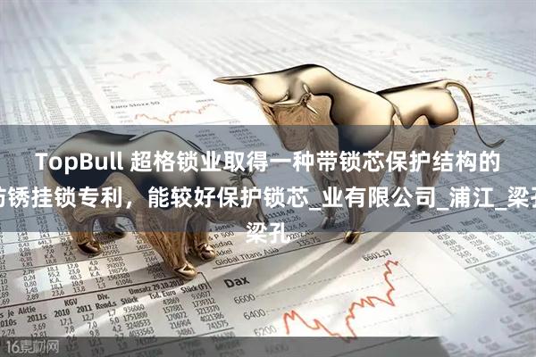 TopBull 超格锁业取得一种带锁芯保护结构的防锈挂锁专利，能较好保护锁芯_业有限公司_浦江_梁孔