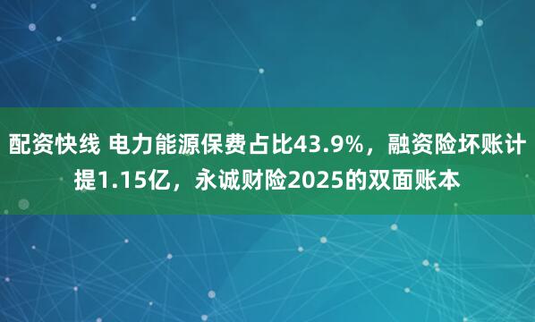 配资快线 电力能源保费占比43.9%，融资险坏账计提1.15亿，永诚财险2025的双面账本