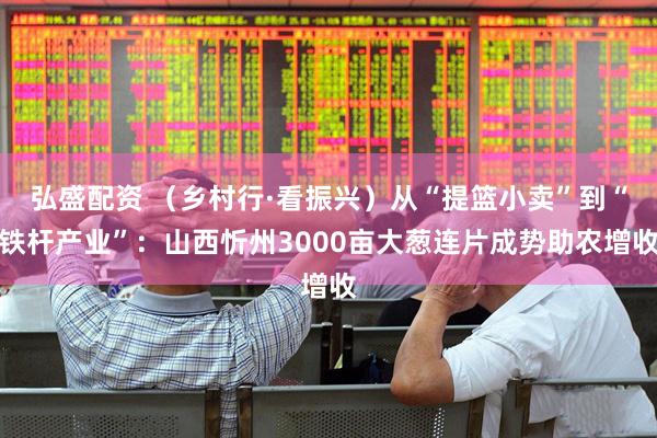 弘盛配资 (乡村行·看振兴)从“提篮小卖”到“铁杆产业”:山西忻州3000亩大葱连片成势助农增收